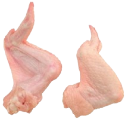 imagem de Asa